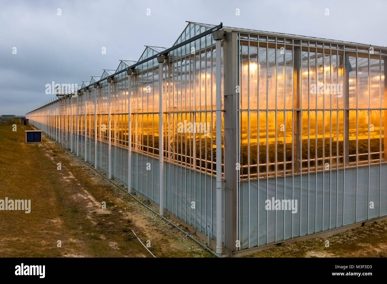 Thanet Earth serre in inverno, Kent, Regno Unito. Foto Stock