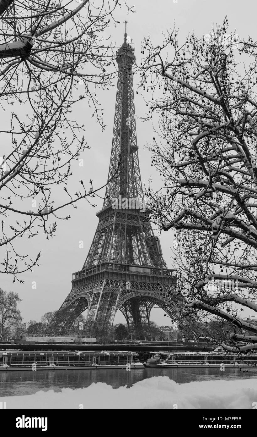 Il Bianco E Nero Torre Eiffel Con Alberi Nudo In Inverno Parigi Francia Foto Stock Alamy