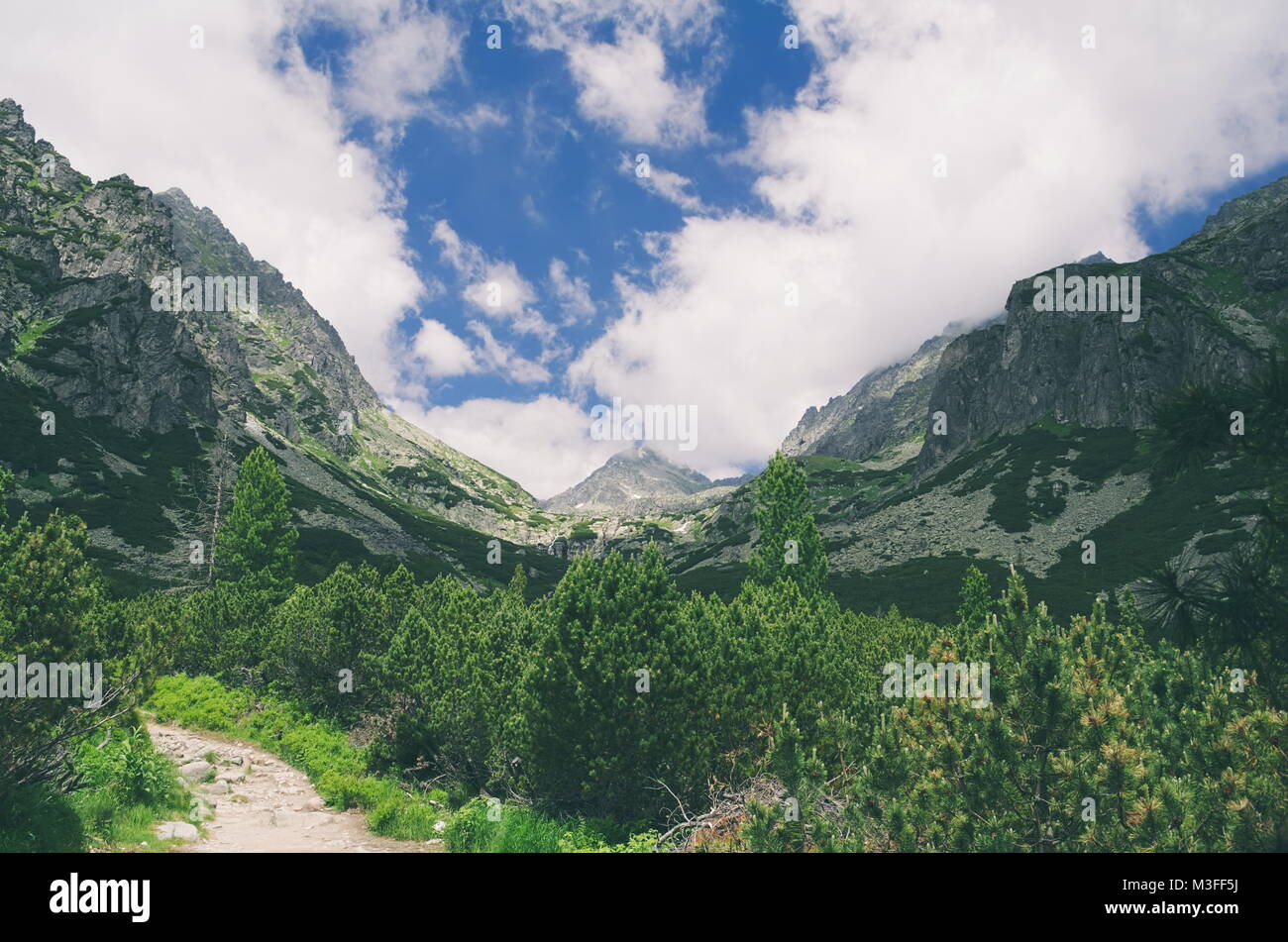 Mlynicka Valley in Alti Tatra su un Nuvoloso Giorno di estate Foto Stock