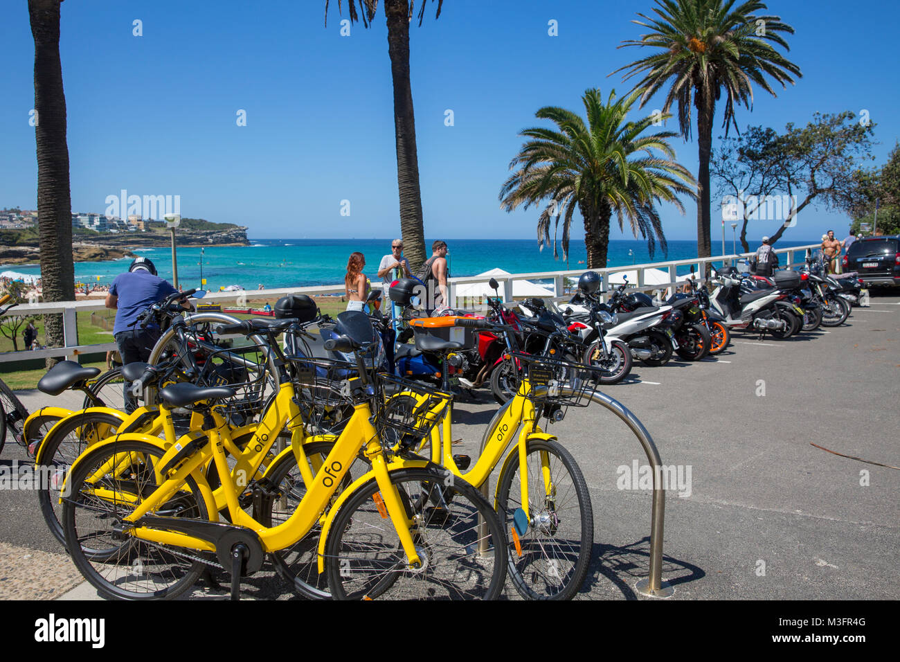 Dock giallo libero Ofo biciclette biciclette a noleggio a Bronte Beach a Sydney, Australia Foto Stock