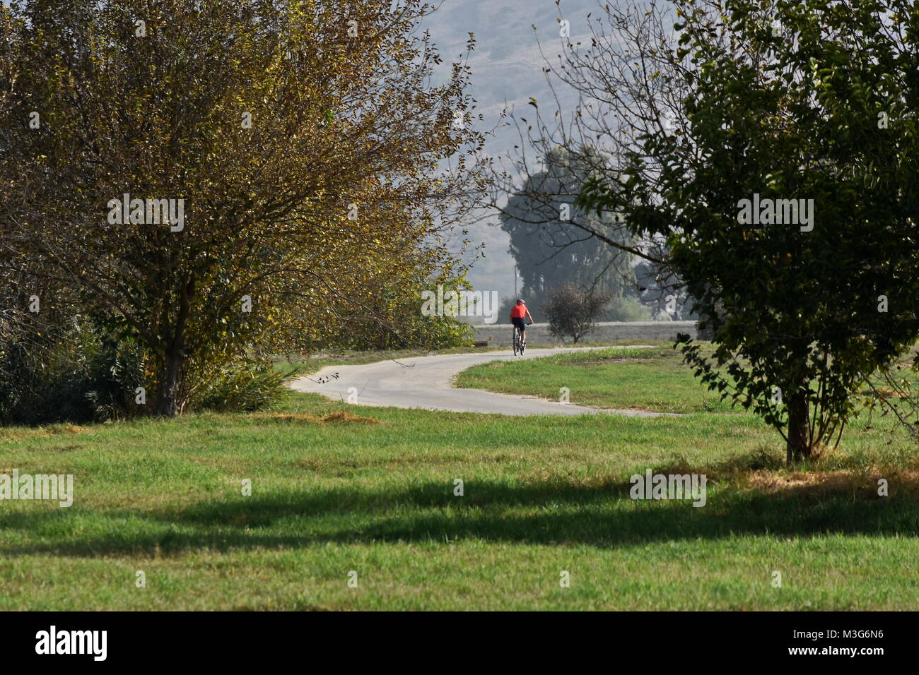 uomo in bicicletta da solo per la salute e fitness e bene essere per calma mentale da erba verde Foto Stock