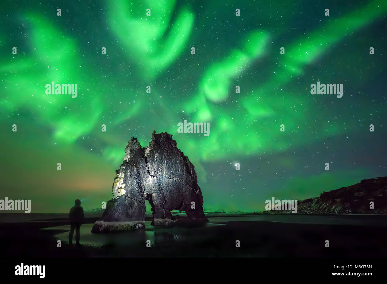 Aurora boreale sopra Hvitserkur rock formazione ed escursionisti con proiettore, Islanda Foto Stock