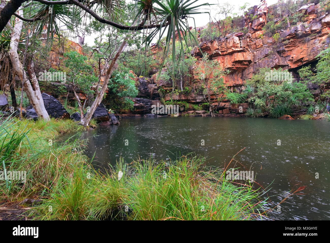 Magnifica gola Galvans sulla Gibb River Road Kimberly Regione in Australia Occidentale Foto Stock