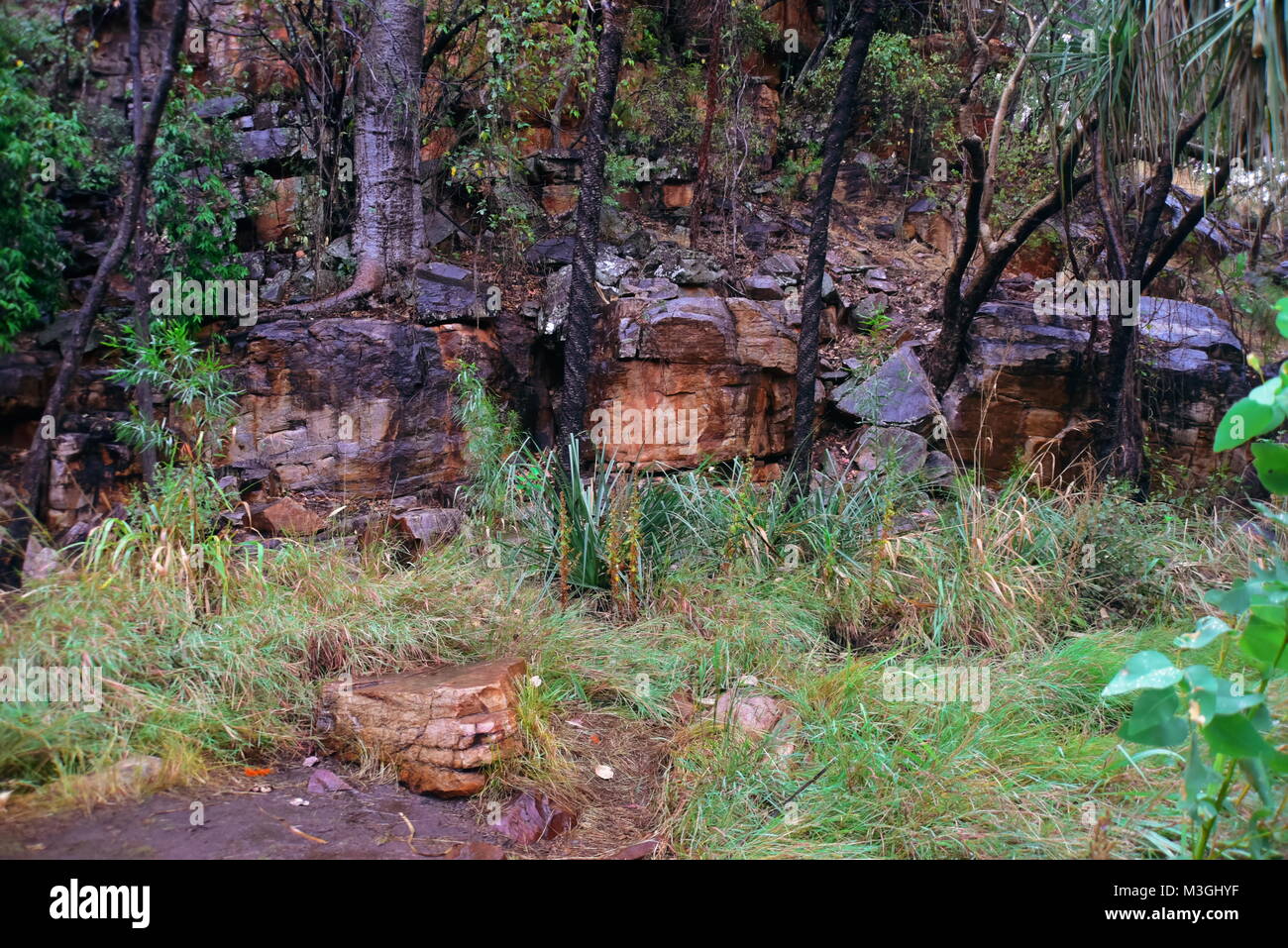 Magnifica gola Galvans sulla Gibb River Road Kimberly Regione in Australia Occidentale Foto Stock