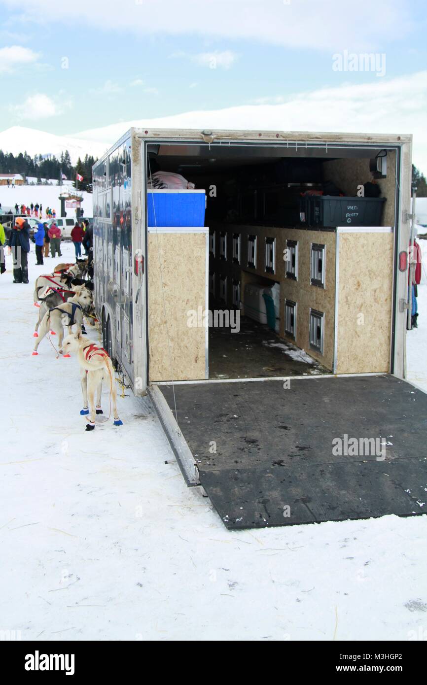 Gara per il cielo 2018, Montana Premier Sled Dog gare, Lincoln, Montana Foto Stock