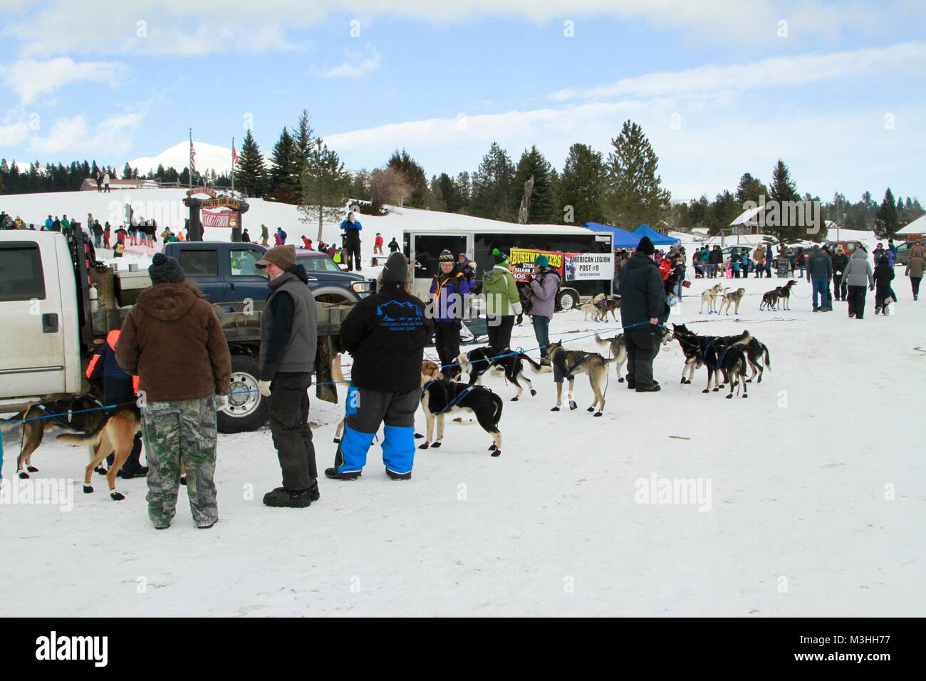 Gara per il cielo 2018, Montana Premier Sled Dog gare, Lincoln, Montana Foto Stock