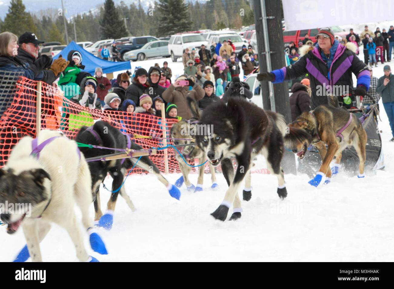 Gara per il cielo 2018, Montana Premier Sled Dog gare, Lincoln, Montana Foto Stock