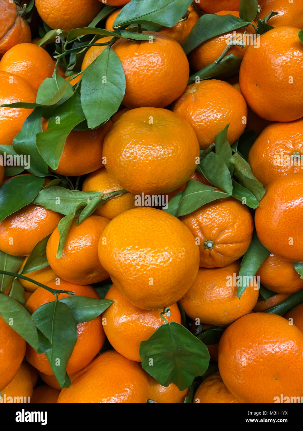 Un grande gruppo di arance e di vigne. Un colorato sfondo o sfondo. Foto Stock