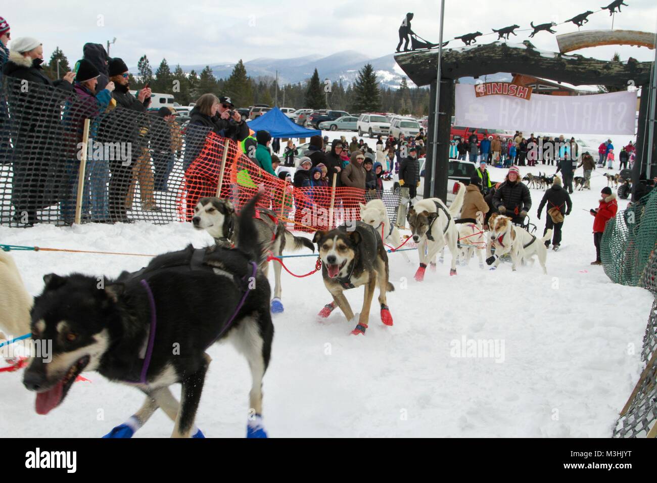 Gara per il cielo 2018, Montana Premier Sled Dog gare, Lincoln, Montana Foto Stock
