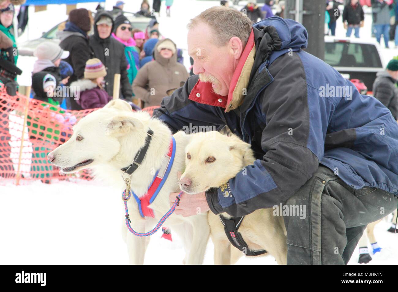 Gara per il cielo 2018, Montana Premier Sled Dog gare, Lincoln, Montana Foto Stock