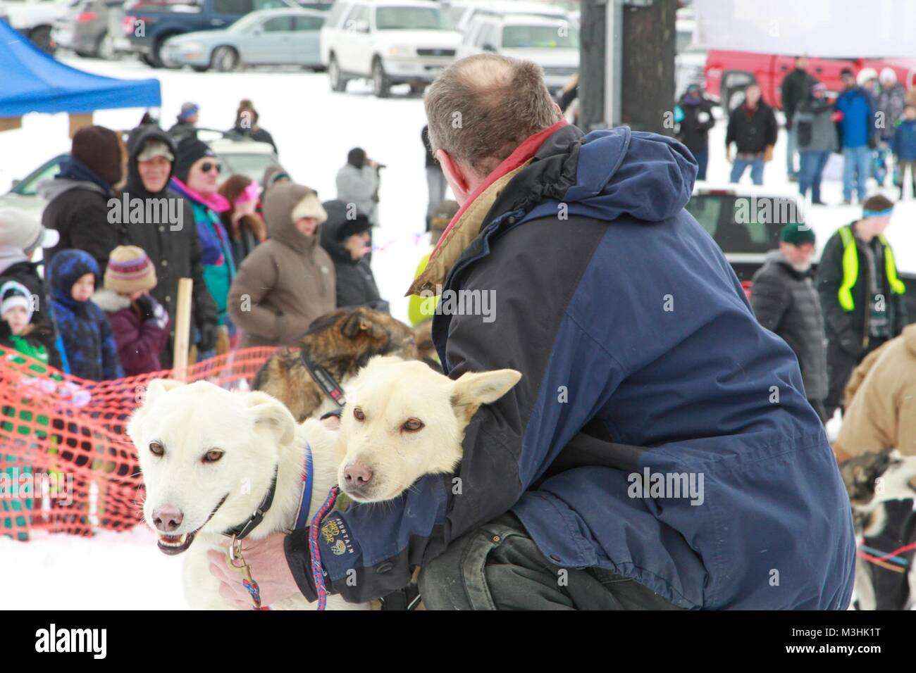 Gara per il cielo 2018, Montana Premier Sled Dog gare, Lincoln, Montana Foto Stock