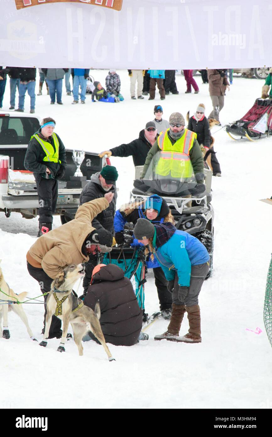 Gara per il cielo 2018, Montana Premier Sled Dog gare, Lincoln, Montana Foto Stock