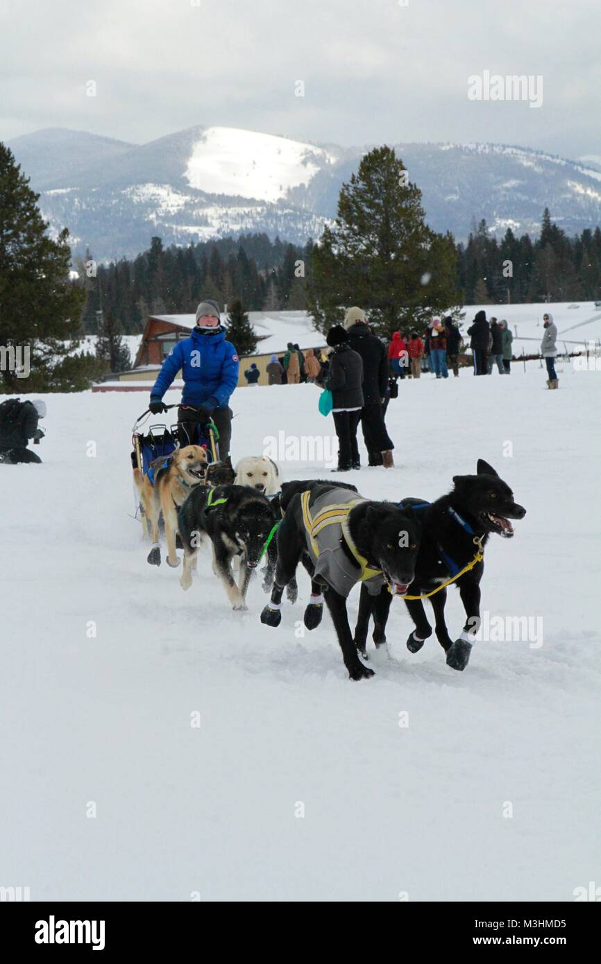 Gara per il cielo 2018, Montana Premier Sled Dog gare, Lincoln, Montana Foto Stock