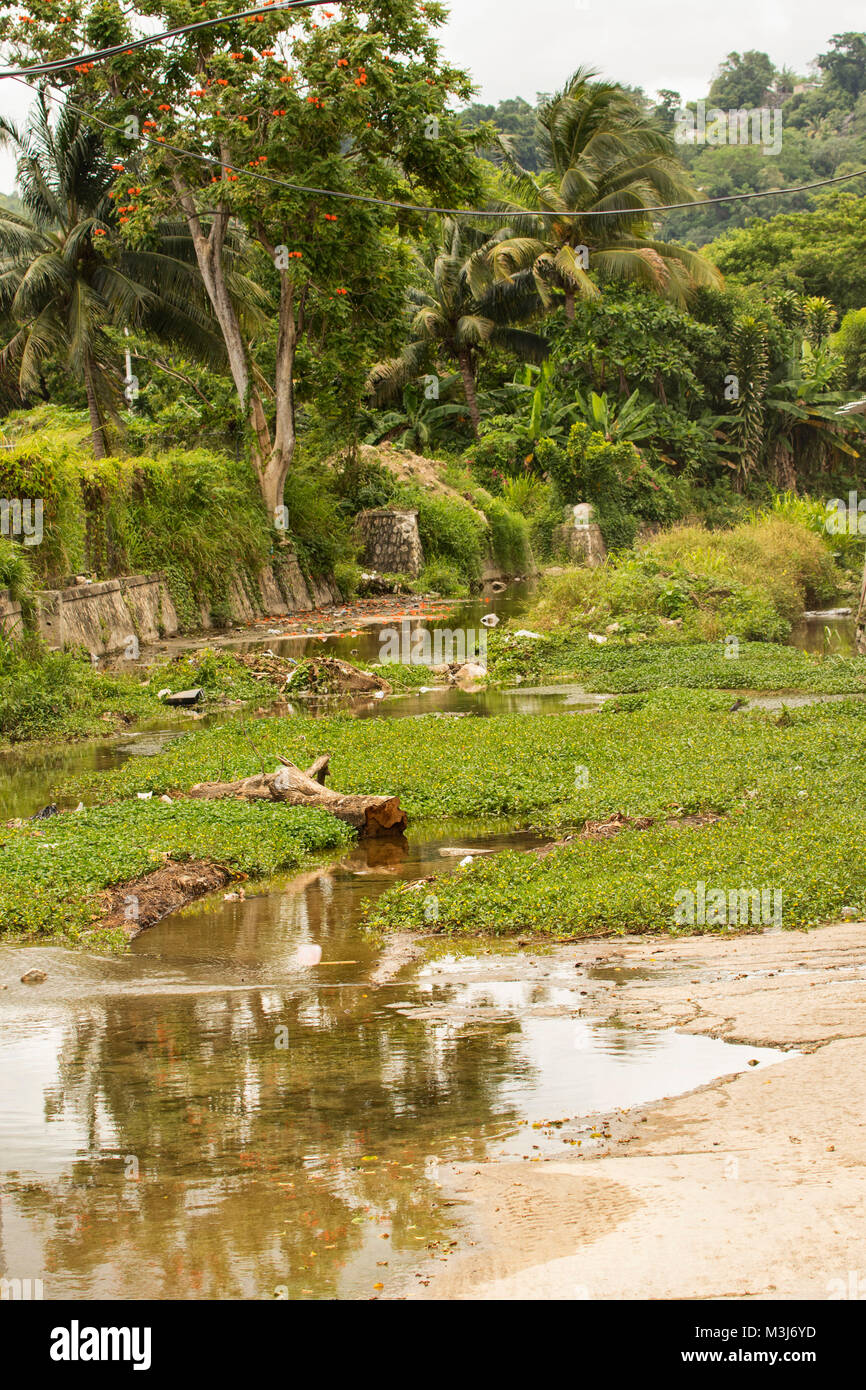 Quasi a secco di corso d'acqua con vegetazione tropicale in background, Ocho Rios, Giamaica, West Indies, dei Caraibi Foto Stock