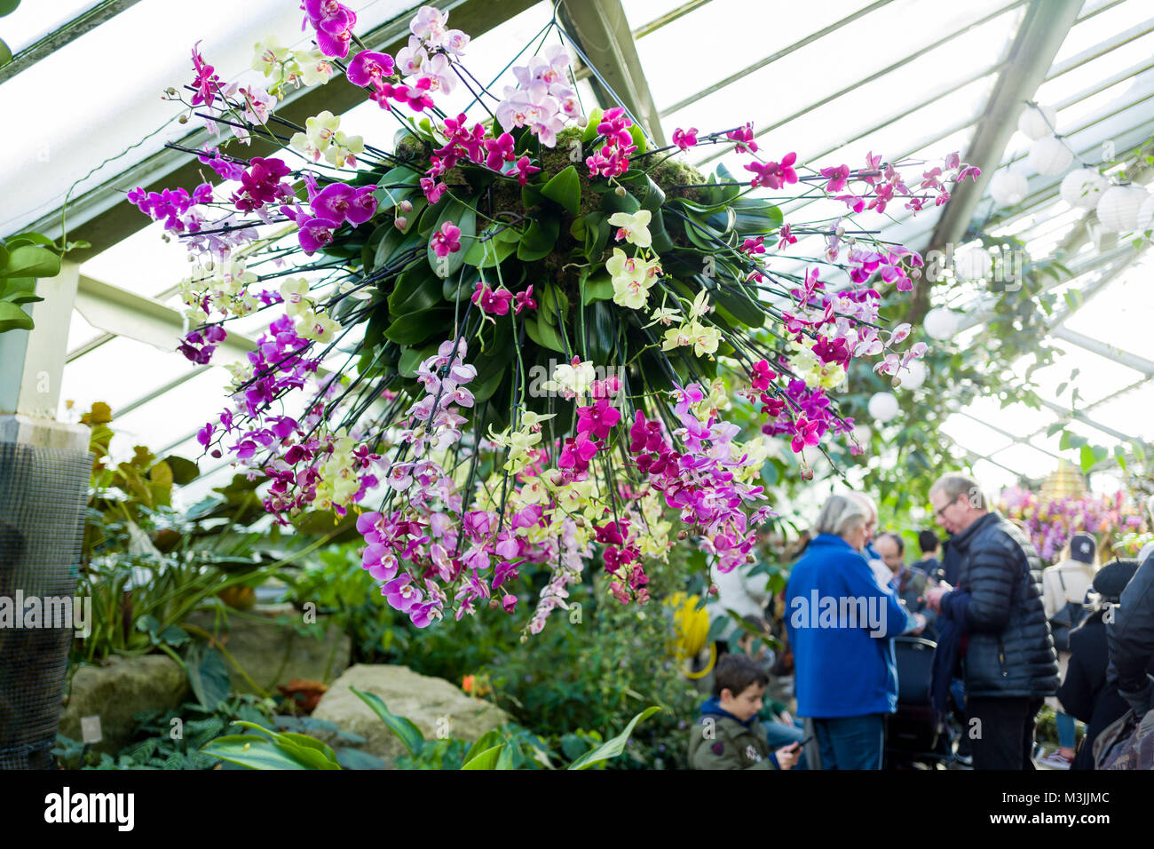 Febbraio 11, 2018 - Prima volta Kew annuale della stravaganza floreale è stato ispirato dalla Thailandia. Per quattro settimane, Kew Gardens accoglierà i visitatori per la sua 23 Orchidee annuale Festival con disegni creativi e le esperienze uniche. Credito: Velar concedere/ZUMA filo/Alamy Live News Foto Stock
