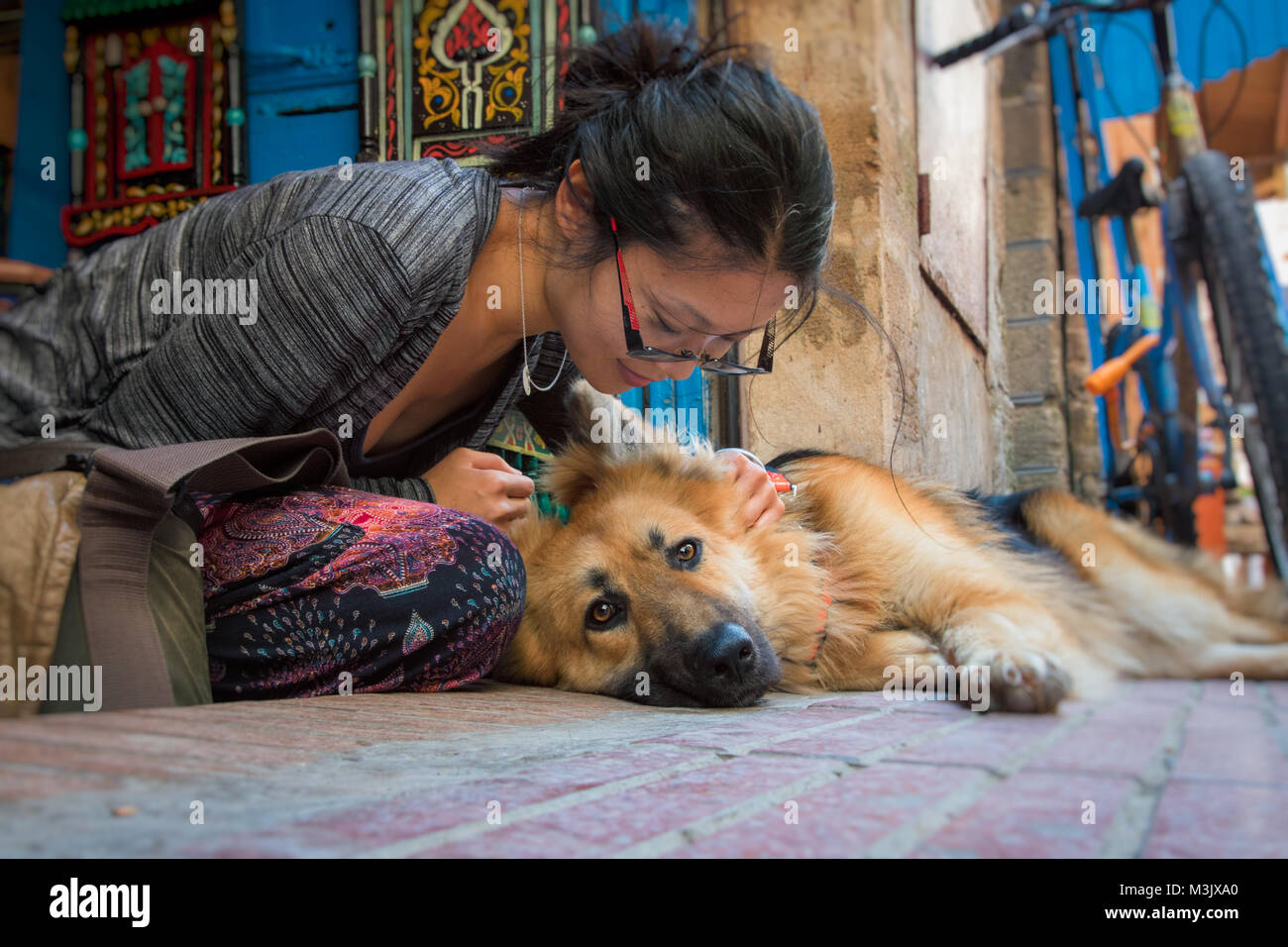 Asian giovane donna affascinato dalla bellissima pastore tedesco cane in Marocco Foto Stock