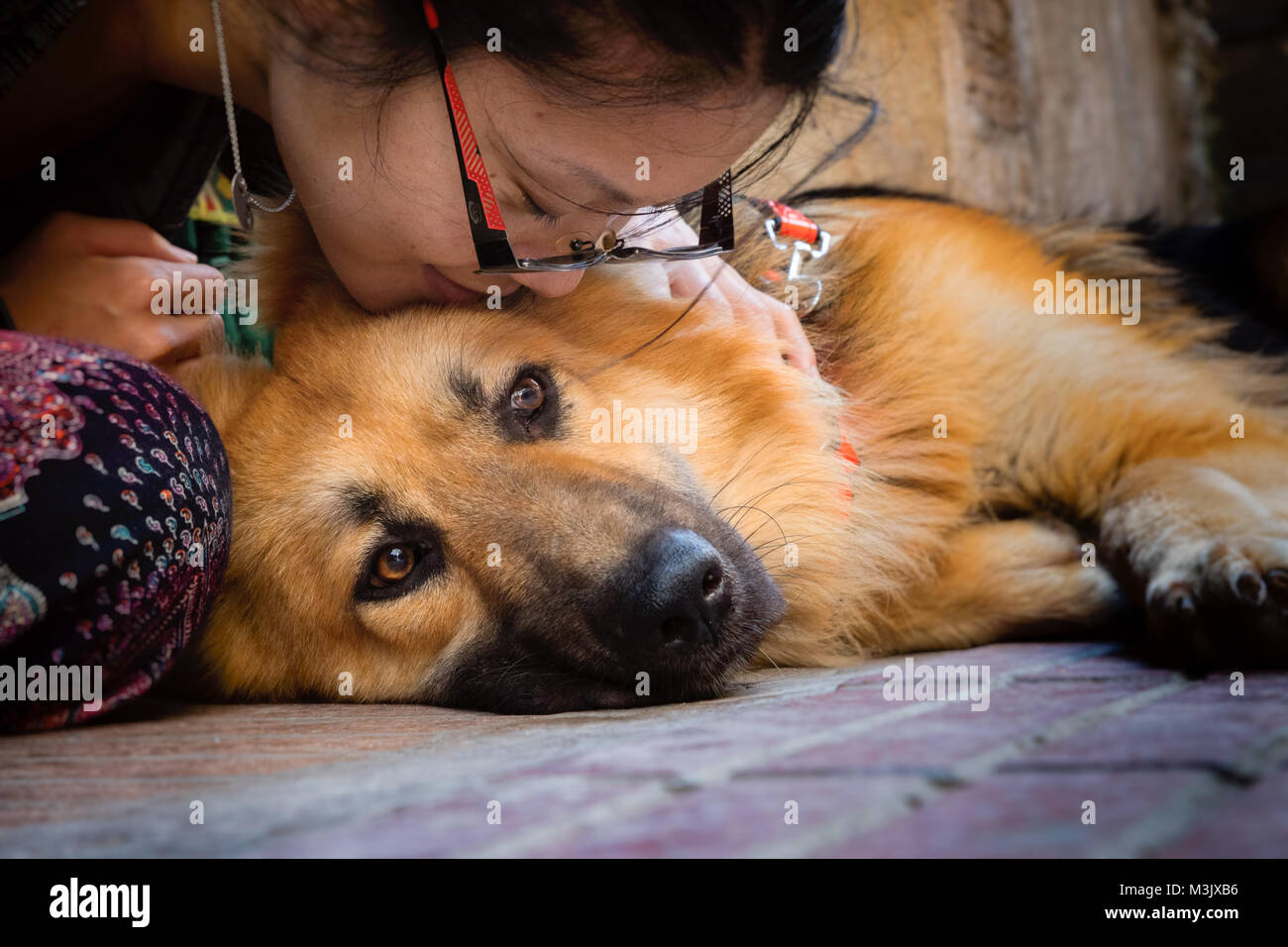 Asian giovane donna baci bellissimo pastore tedesco cane in Marocco Foto Stock