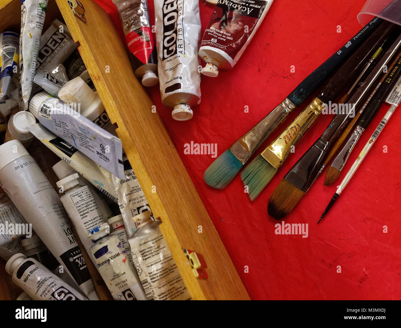 Close-up di tubi di piant e pennelli presi in un dipinto di classe per gli adulti più anziani Foto Stock