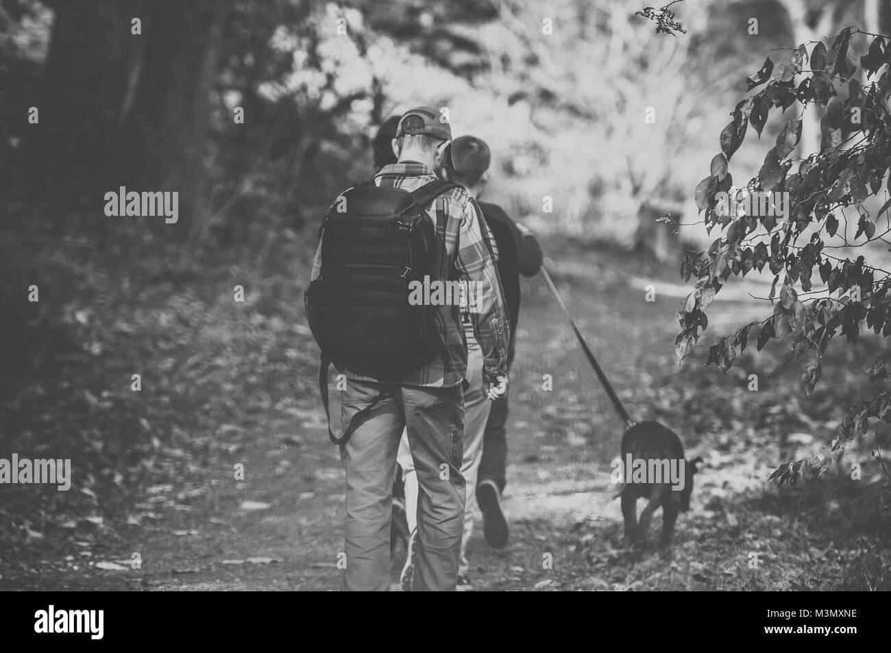 Gli uomini di escursione in un parco boscoso a piedi il loro cane Foto Stock