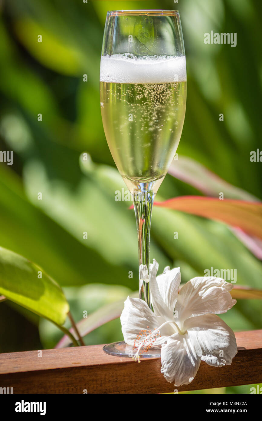 Un bicchiere di champagne decorata con un fiore tropicale in piedi su una  rampa di legno. L'immagine verticale Foto stock - Alamy