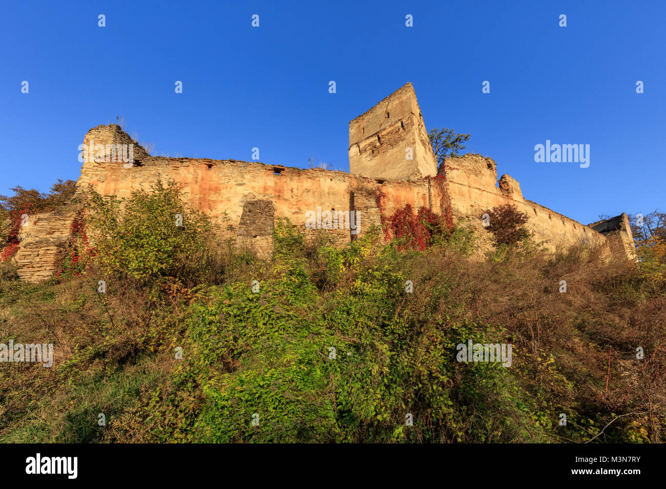 Fortificata medievale fortezza sassone in villaggio Saschiz. Transilvania, Romania. È stato costruito da etnica tedesca della Transilvania comunità sassone. Foto Stock
