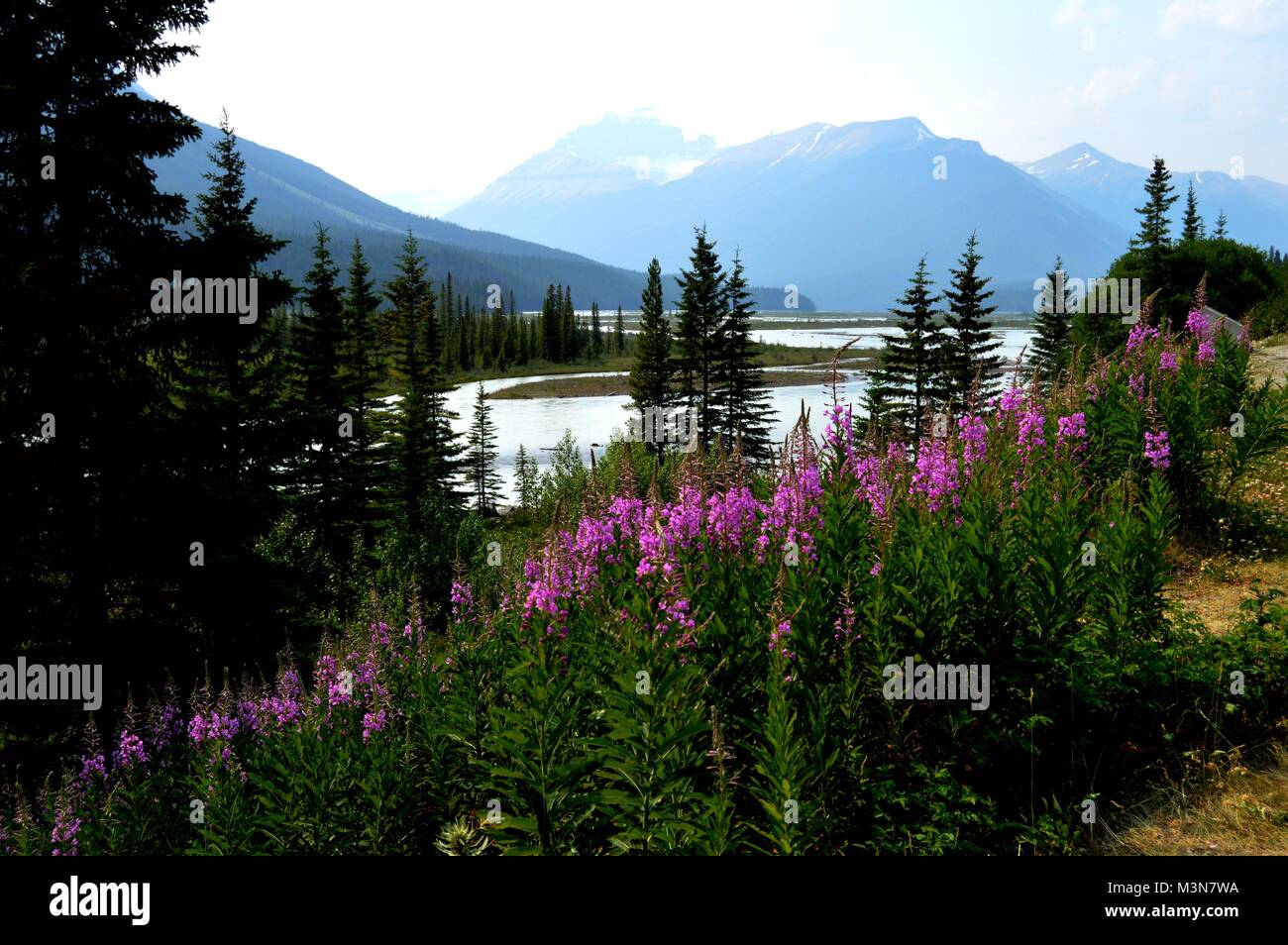 Scena della montagna in Jasper NP, Canada Foto Stock