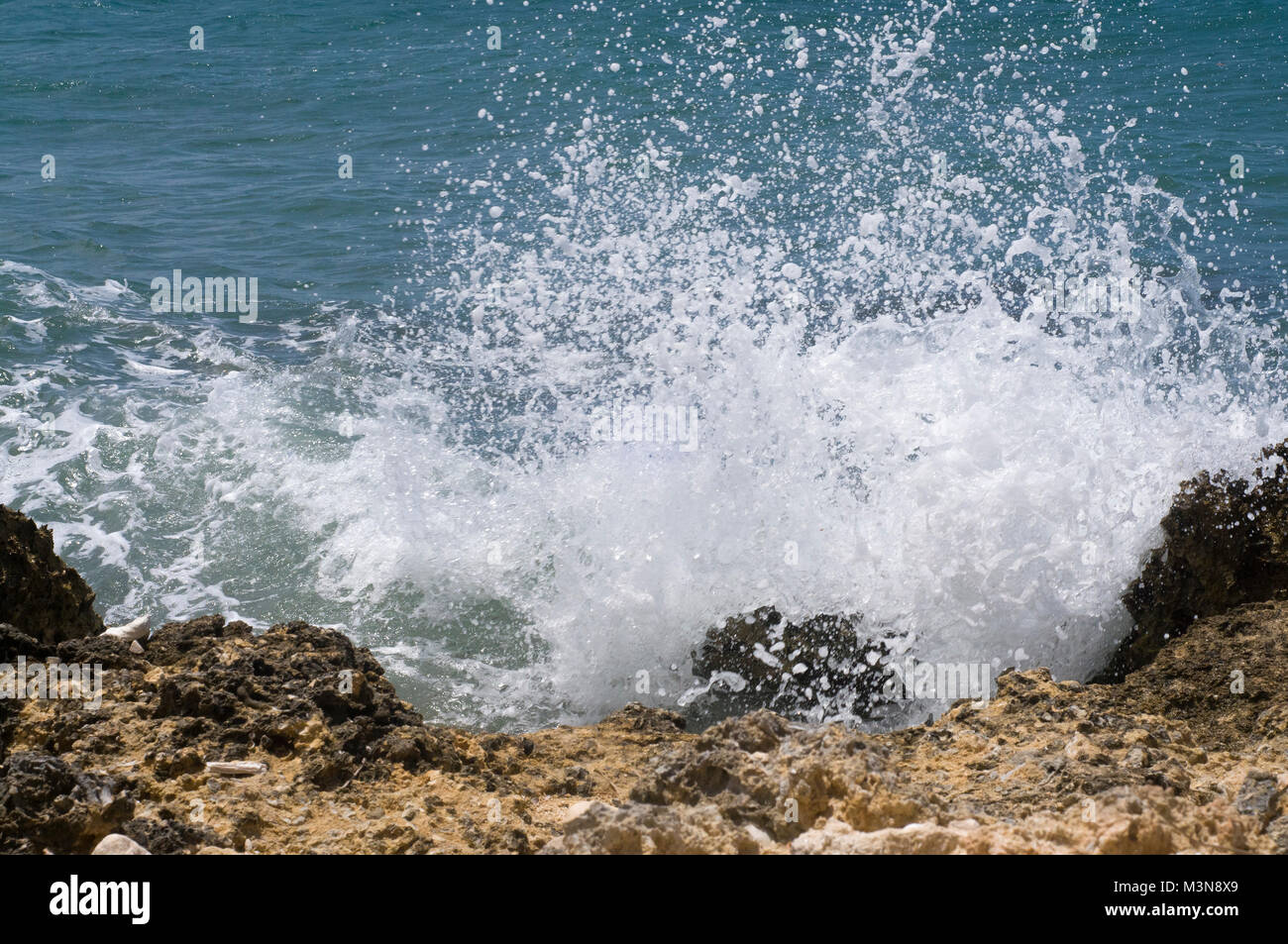 Spiagge di sabbia bianca di Montego Bay, Giamaica. Un sacco di vegetazione e vista oceano. La vita sull'isola a sua migliori e pittoresca, e nessun popolo nella foto. Foto Stock