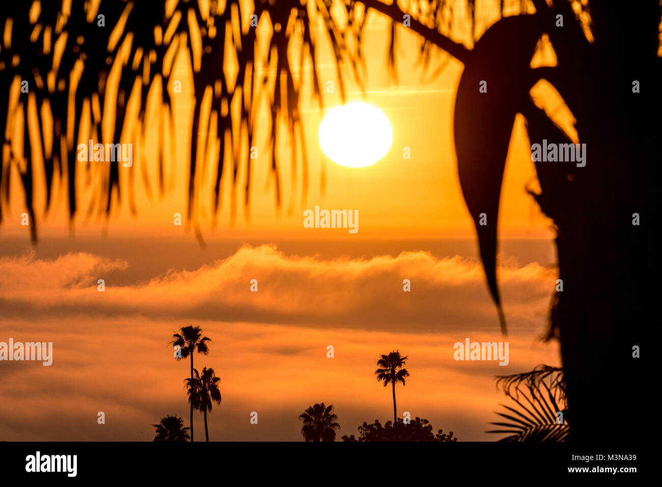 Coltre di nubi che copre l'oceano al tramonto Foto Stock