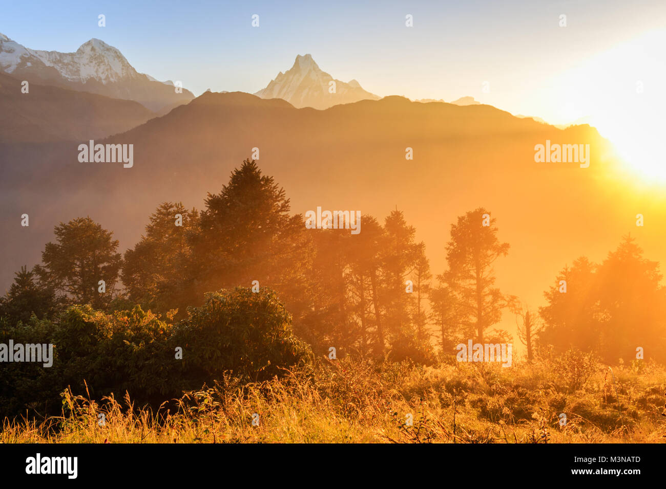 Sunrise a Poon Hill in Himalaya con una vista della catena Hannapurna. Il Nepal. Foto Stock