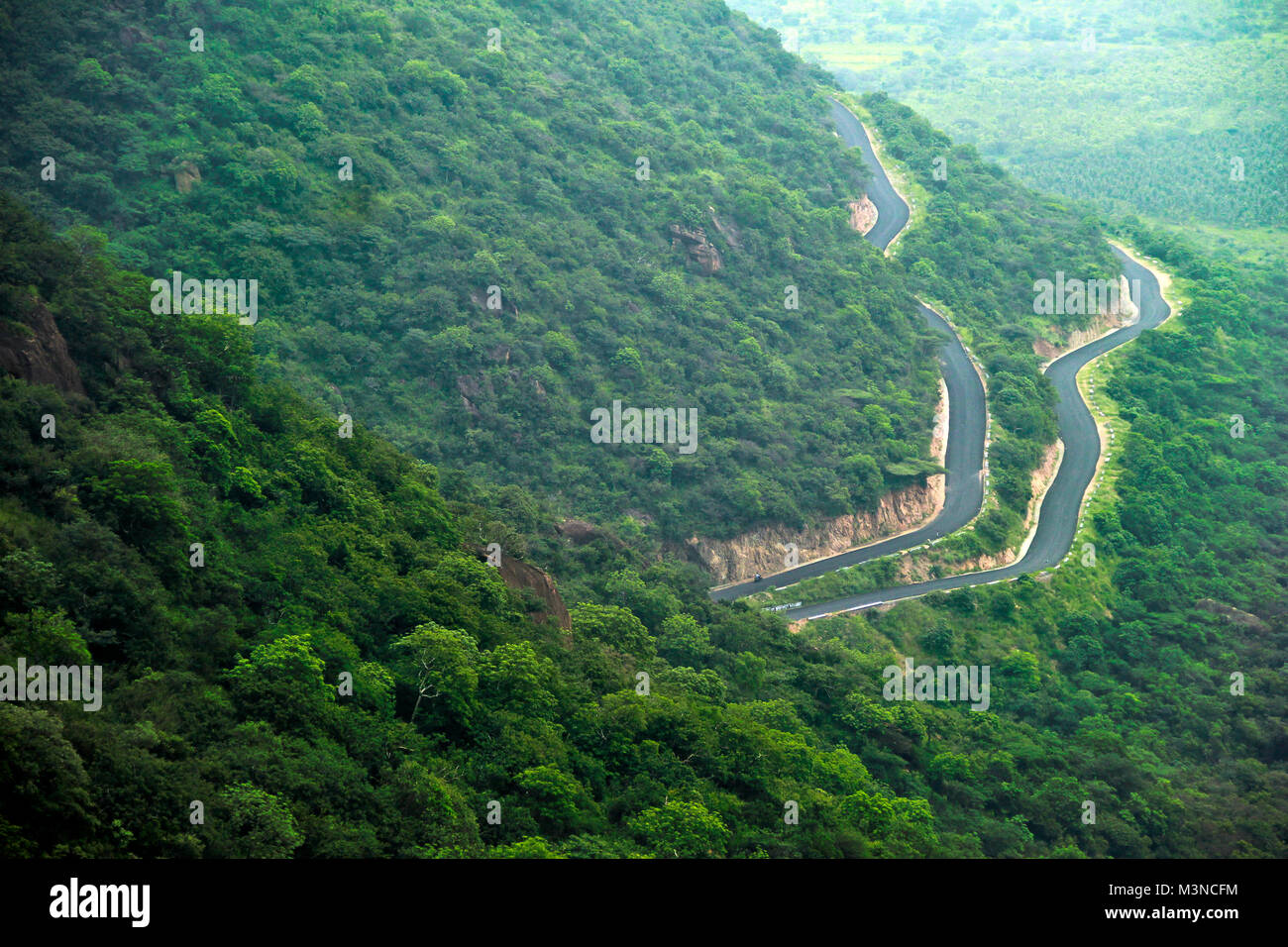 Le strade tortuose di Kodaikanal, Tamilnadu, India Foto Stock
