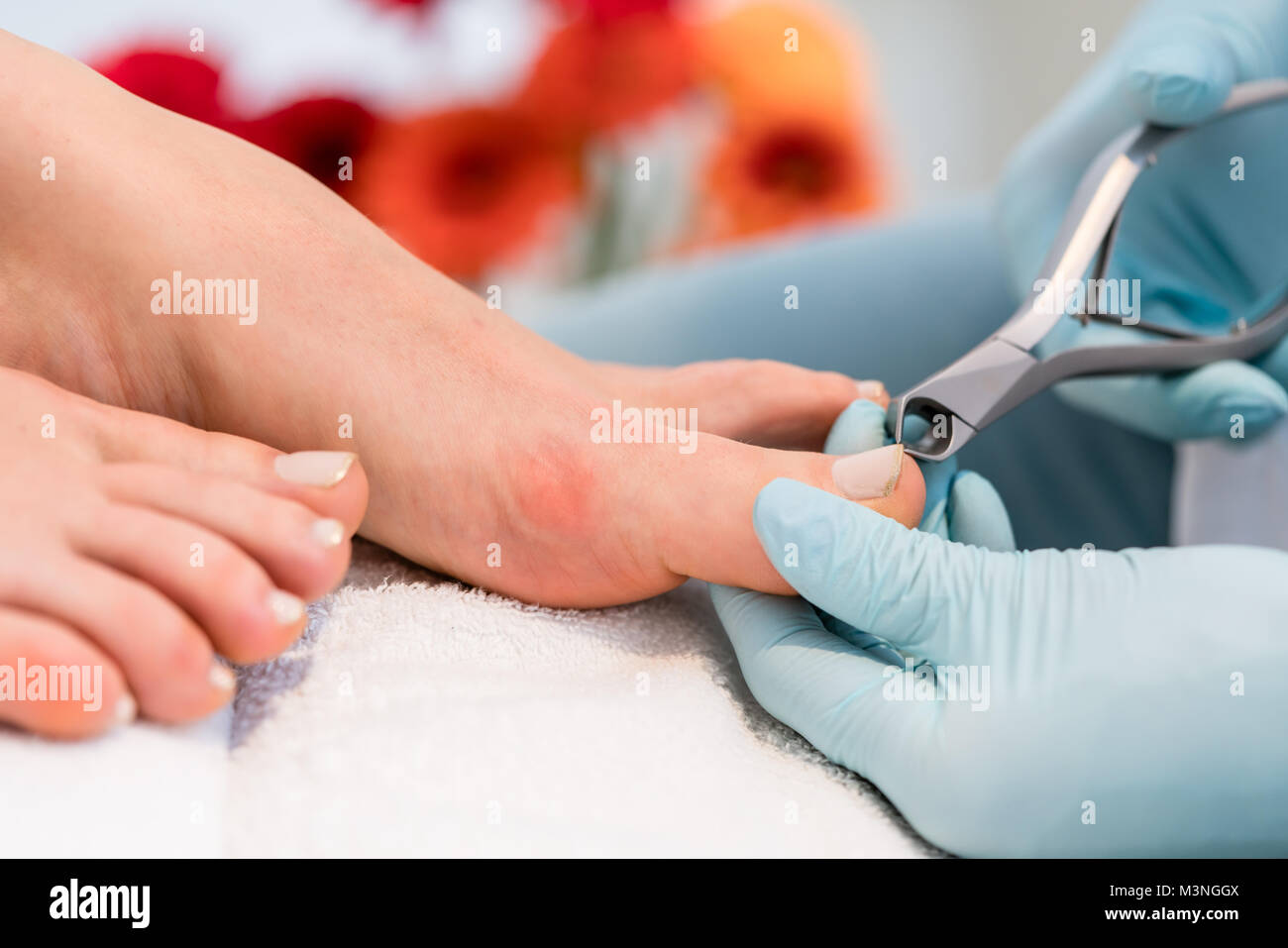 Close-up delle mani di un pedicurist indossando guanti chirurgici sterili, mentre usando una punta tagliaunghie durante la sagomatura dei chiodi di una femmina di cliente in Foto Stock
