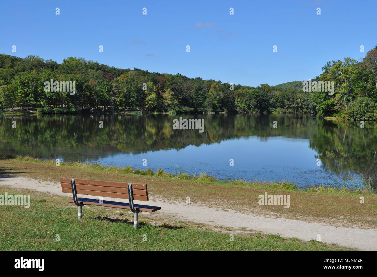 Bench si affaccia su di un lago calmo con alberi che riflette nell'acqua Foto Stock
