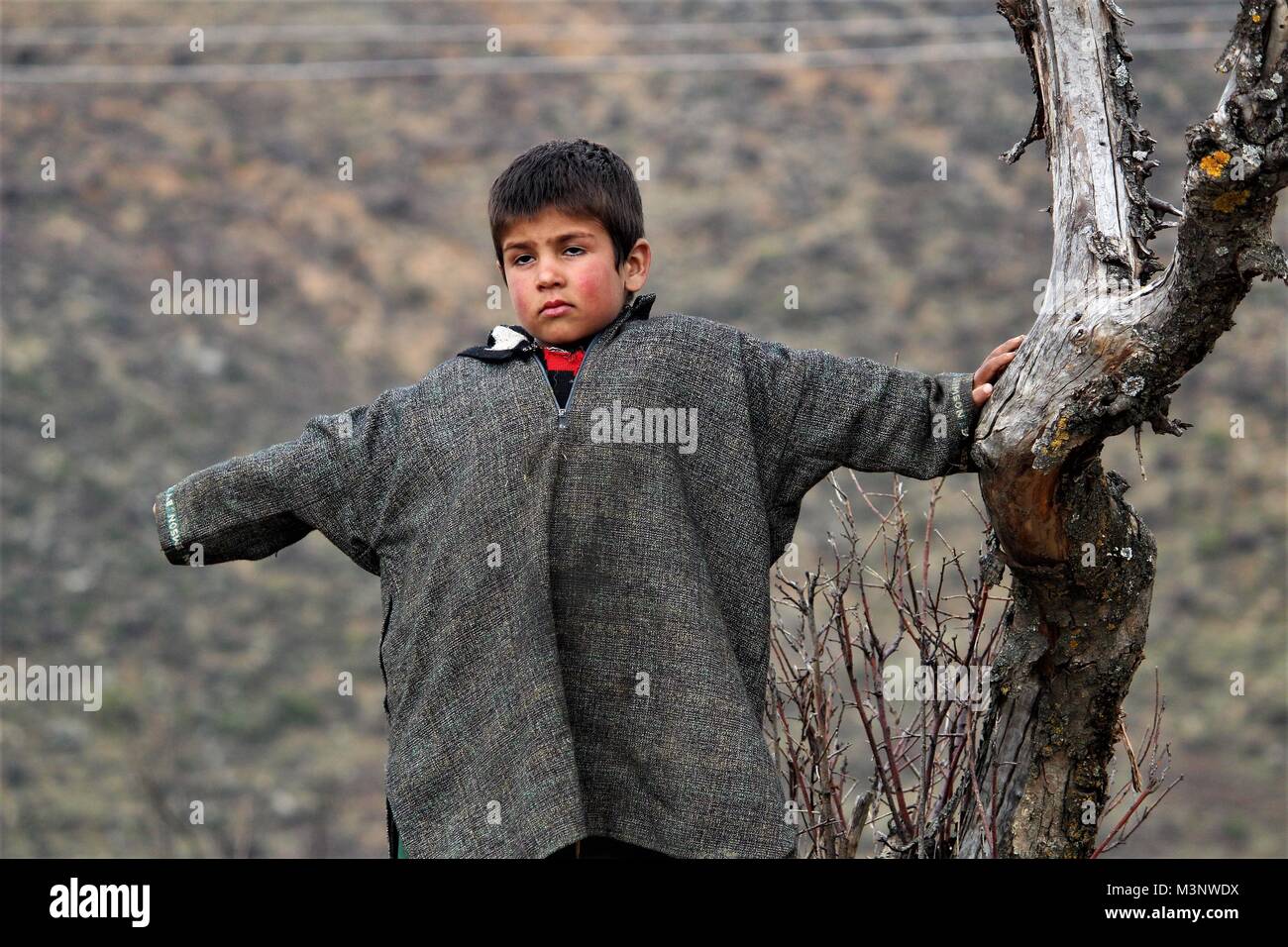 Ragazzo del Kashmir, kupwara, Kashmir India, Asia Foto Stock