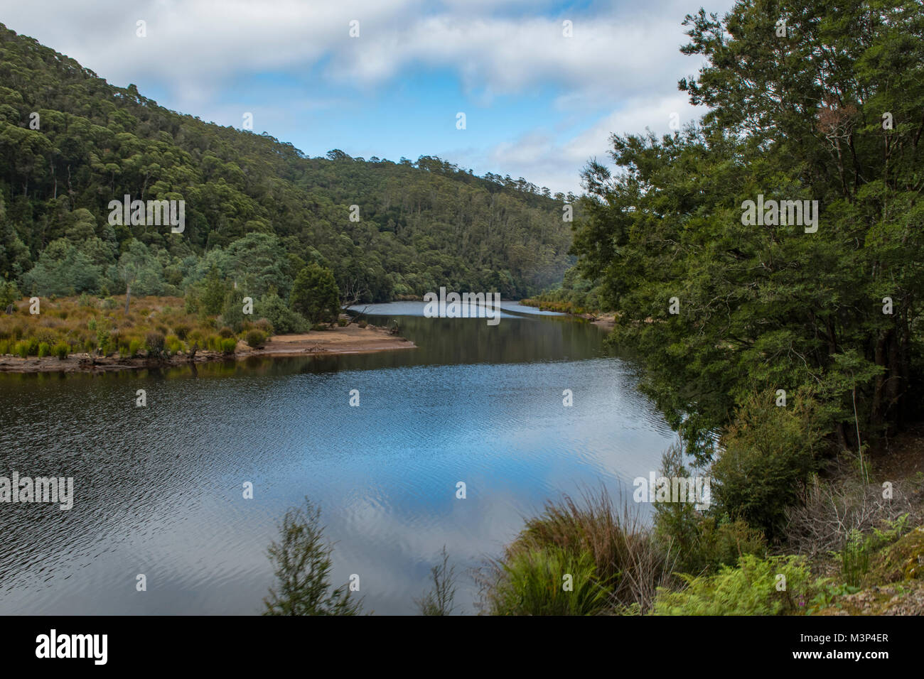 Re River, West Coast Wilderness, Tasmania, Australia Foto Stock