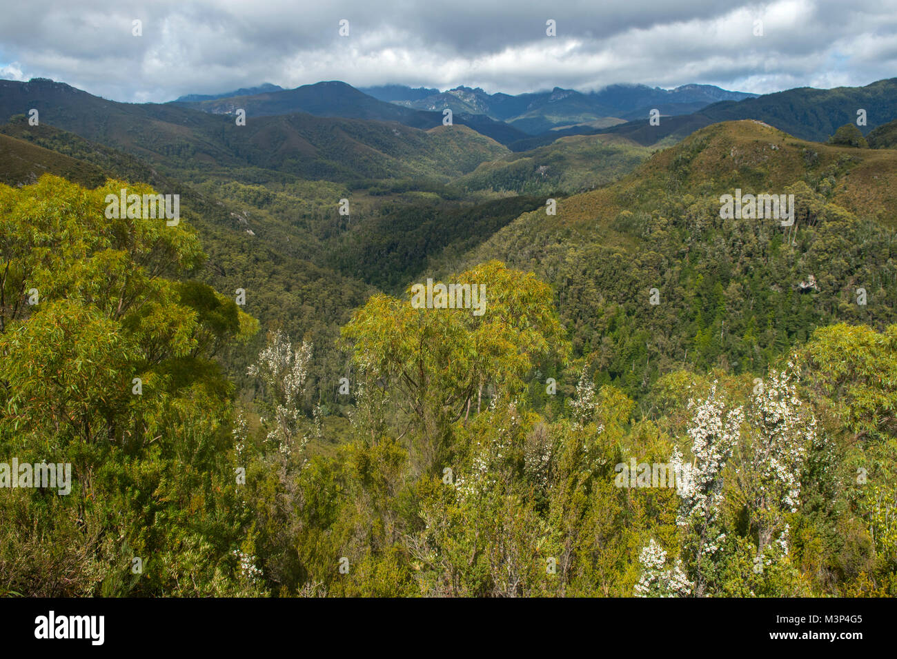 Vista sud da Donaghy's Hill Lookout, Tasmania, Australia Foto Stock