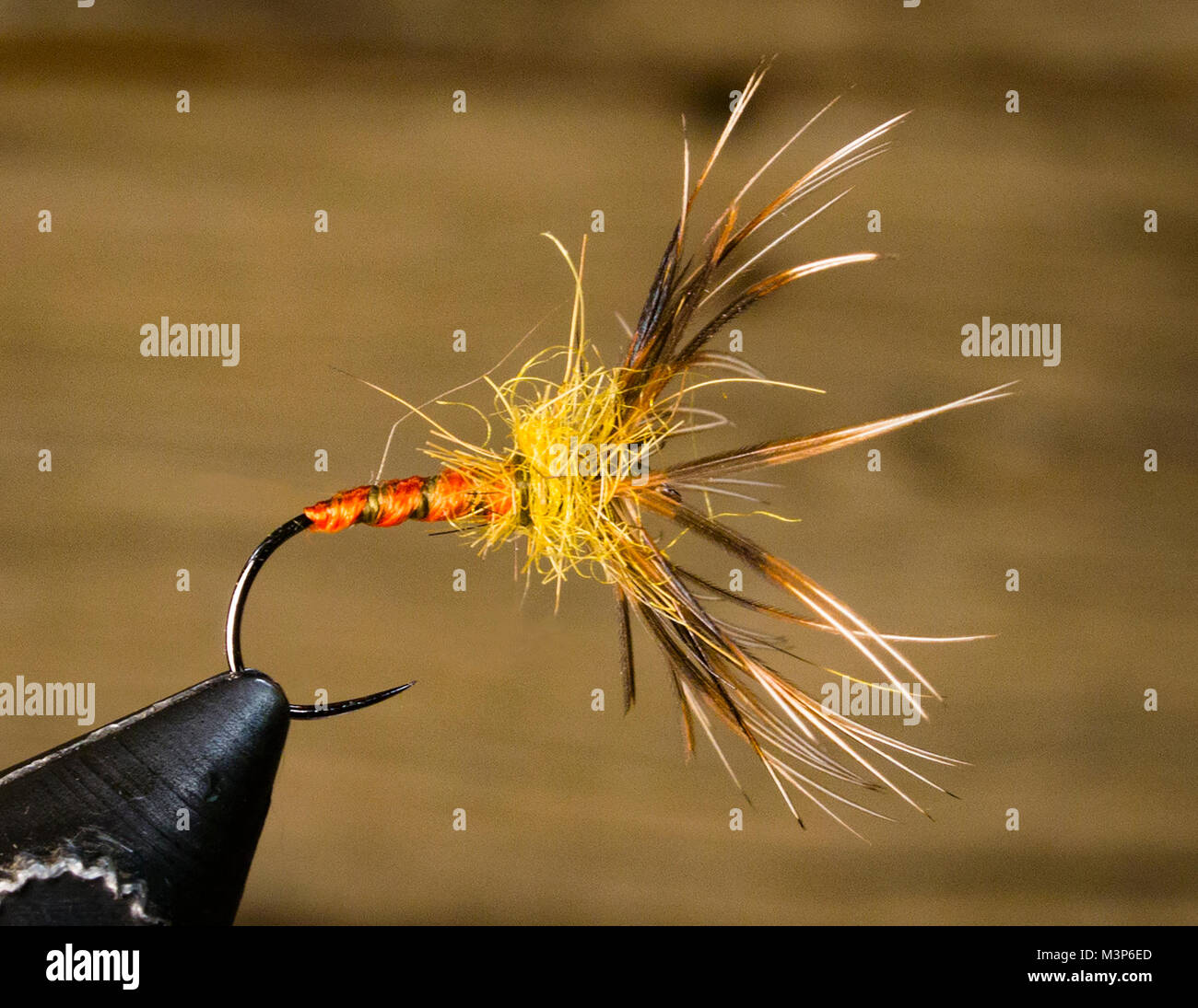 Orange Fagiano torace Spider Sakasa Kebari Soft Hackle wet fly. Gancio: 103BL No.10 testa: dark thread oliva Hackle: gallina fagiana collo corpo piuma: da Foto Stock