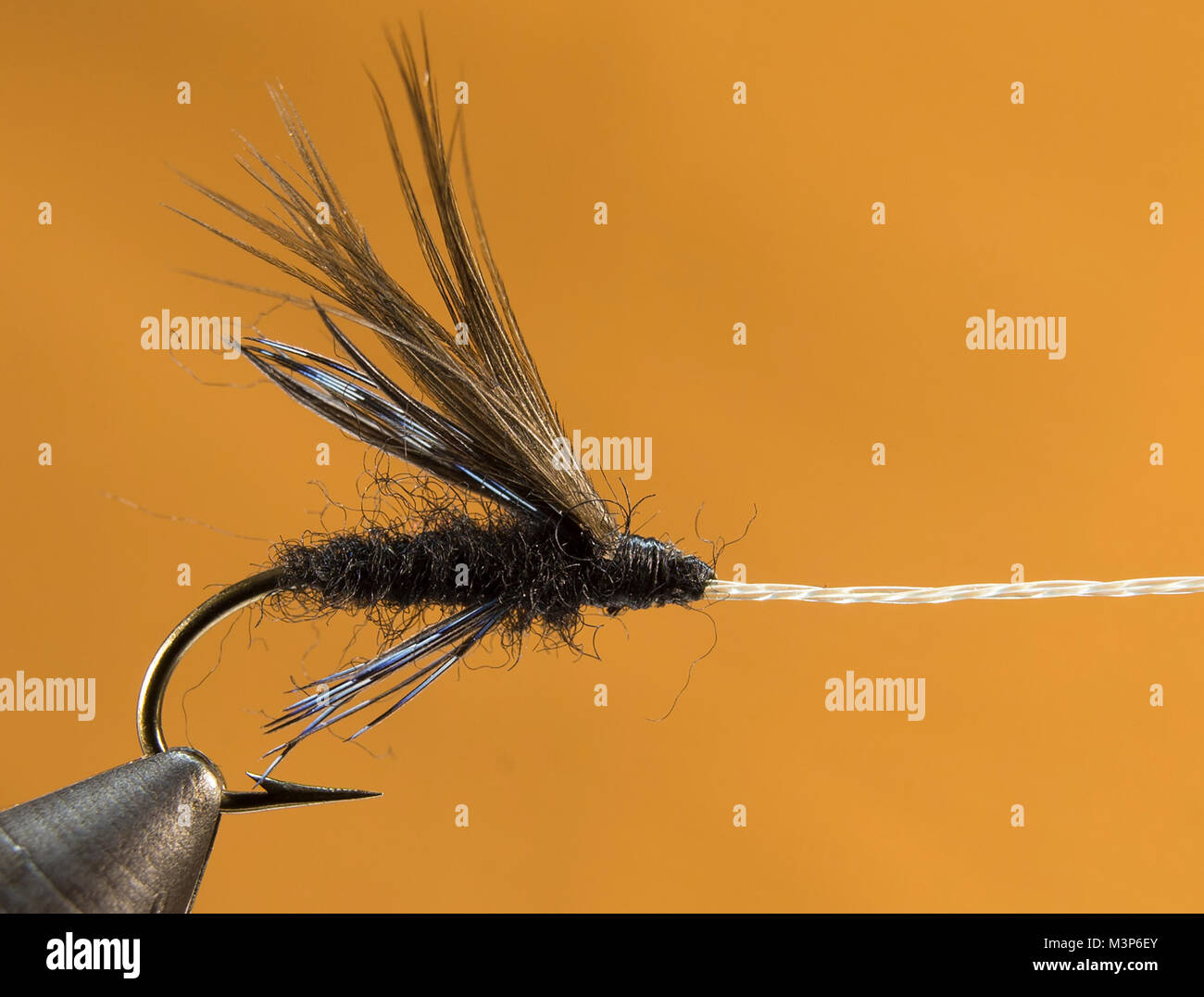 Marzo - Un altro Dun Fly, 2° fly del Trattato di pesca con un angolo Foto Stock