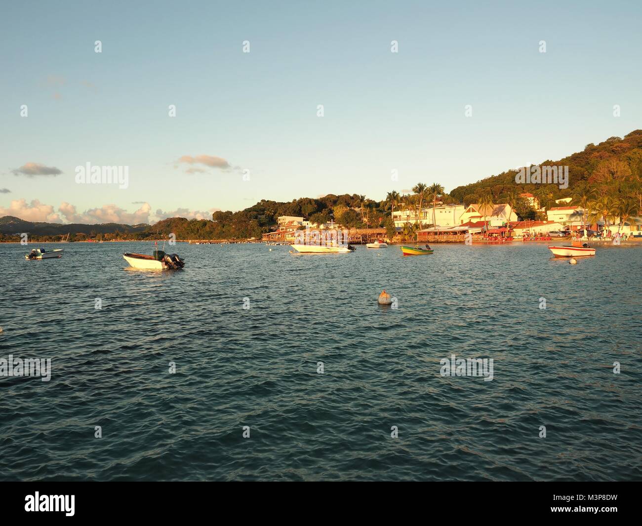 Baia di Sainte-Anne in Martinica.Ogni anno da dicembre a maggio molti diportisti venite a trascorrere l'inverno in questa bella baia, linea di alberi di noci di cocco. Foto Stock