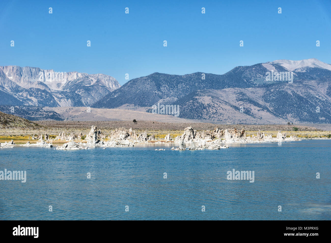 Scena di contea mono immagini e fotografie stock ad alta risoluzione