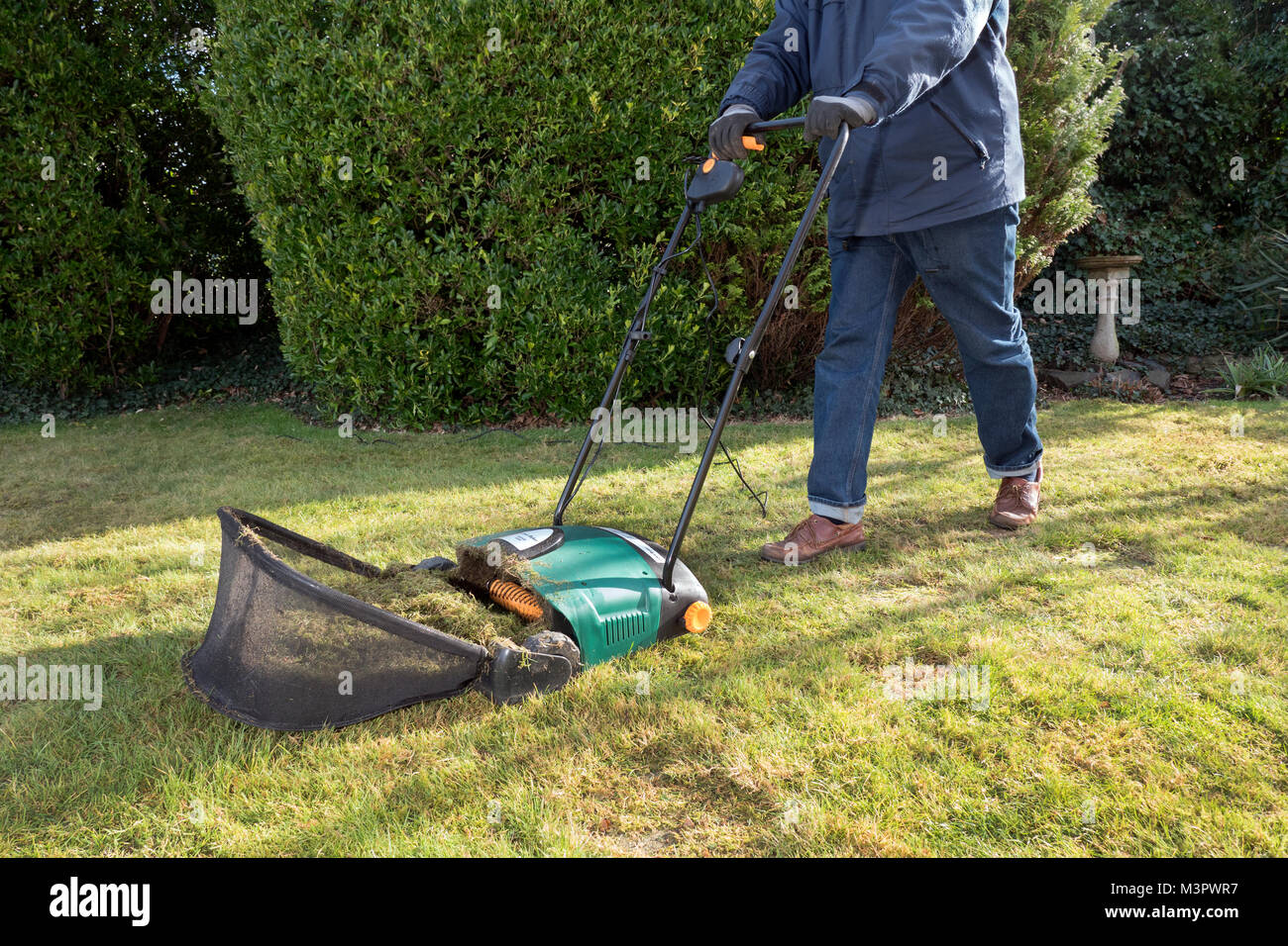 Giardiniere usando un elettrico giardino prato raschia. Foto Stock