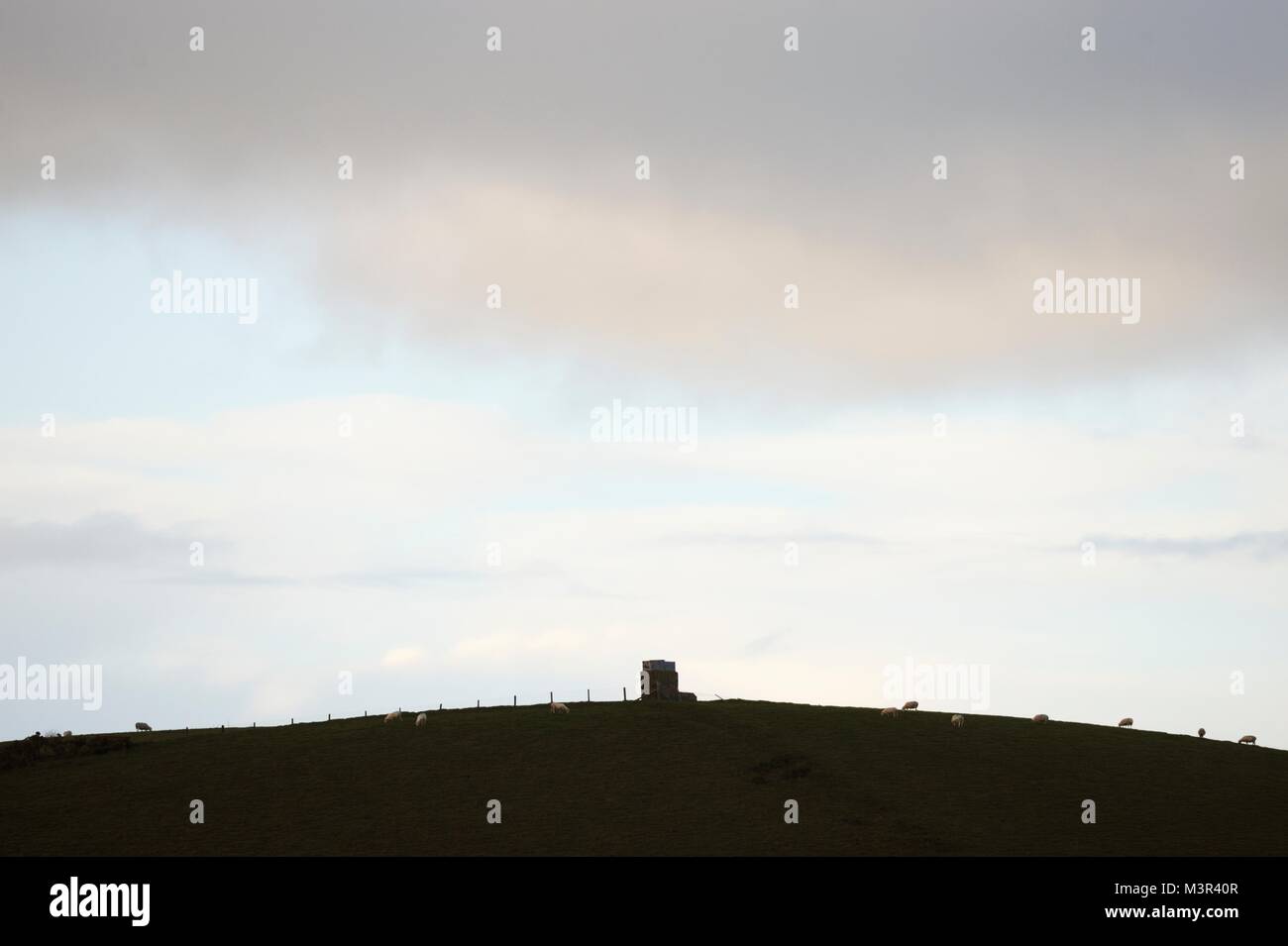 Square struttura in pietra su una collina curvo con il pascolo ovino, Wales, Regno Unito. Foto Stock