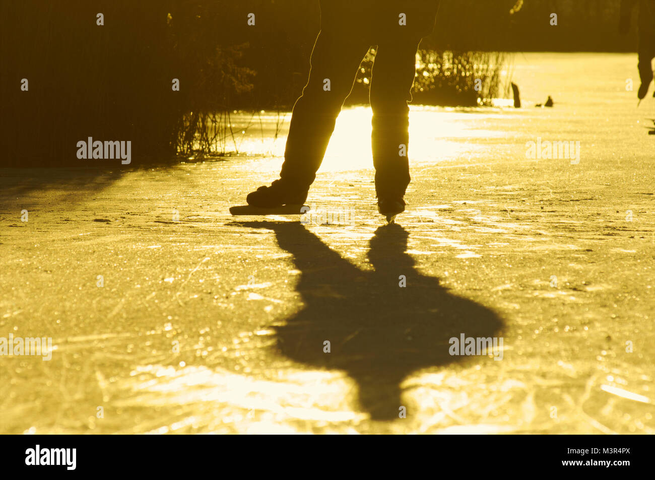 La silhouette di un pattinatore su ghiaccio il pattinaggio su un fiume congelato con retroilluminazione, Paesi Bassi Foto Stock