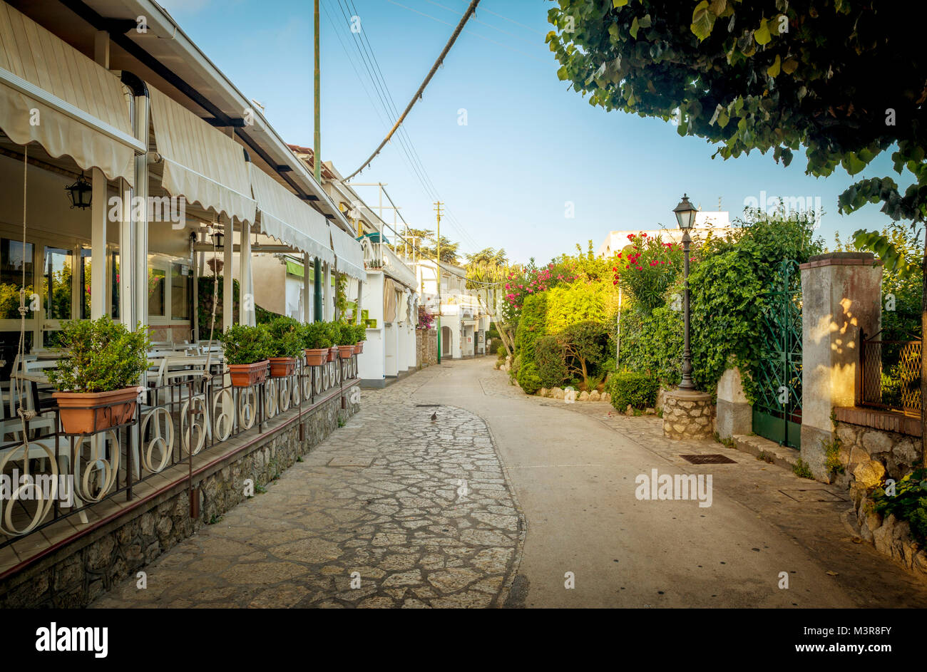 Strada di Anacapri città sull isola di Capri in Italia Foto Stock