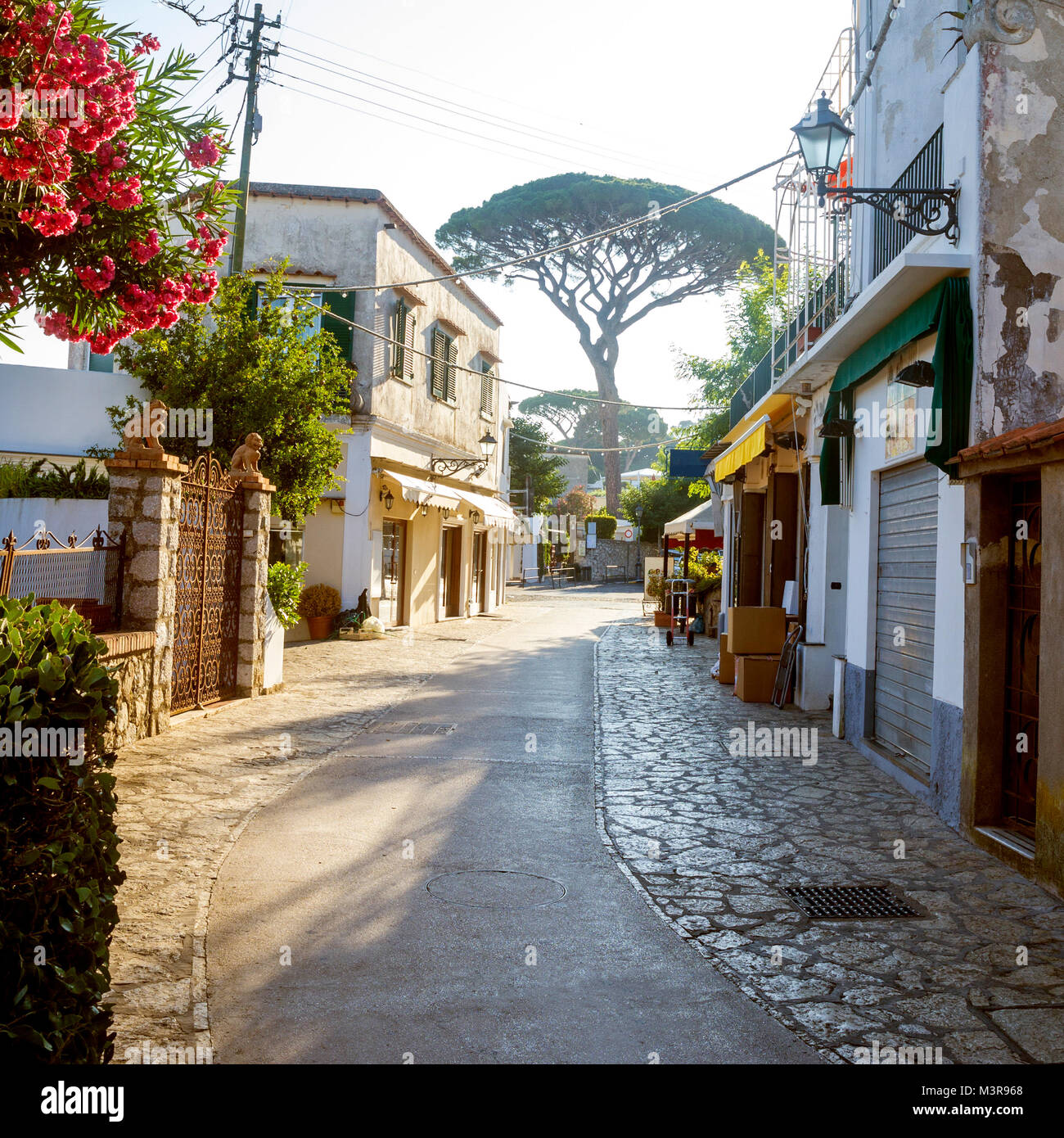 Strada sulla isola di Capri in Italia Foto Stock
