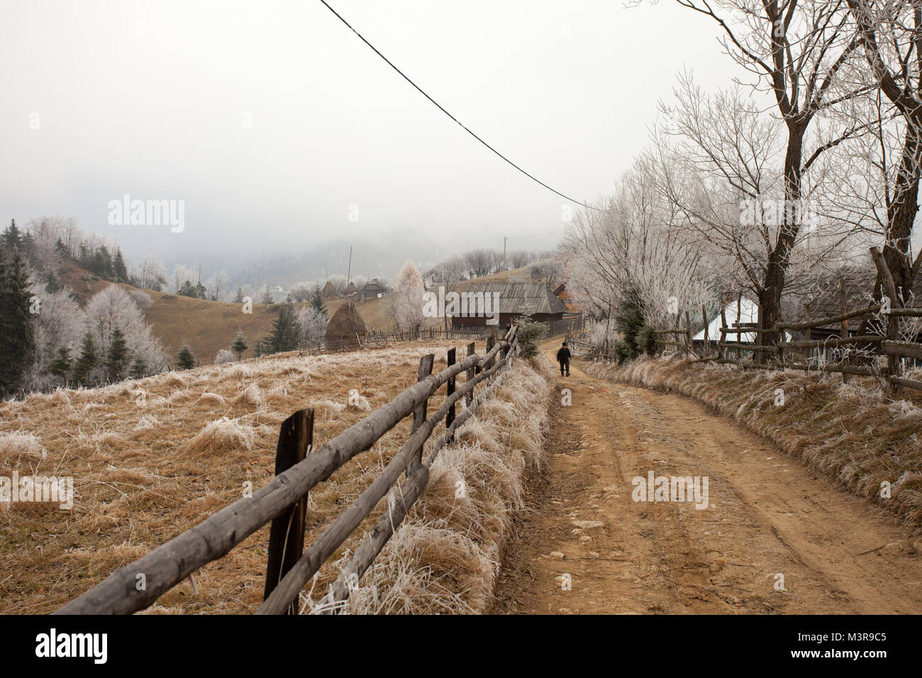 In frosty Magura, contea di Brasov, Romania. Foto Stock