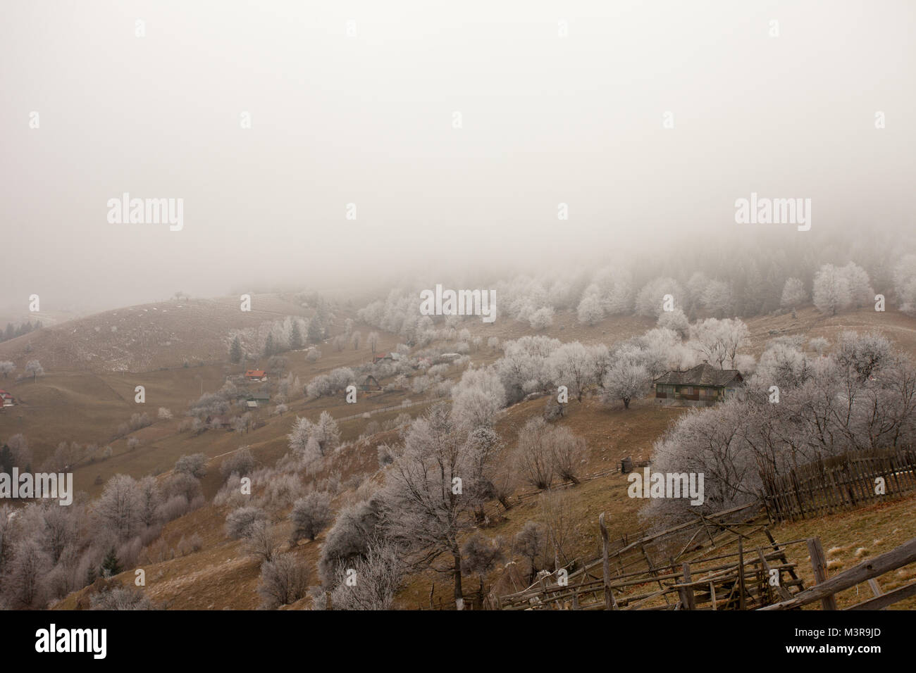 In frosty Magura,contea di Brasov, Romania. Foto Stock