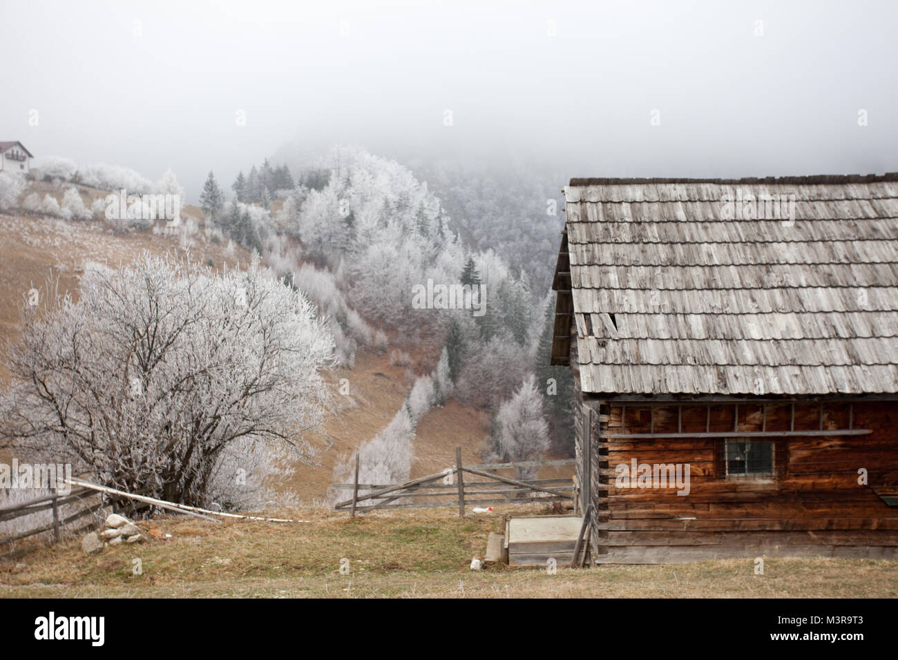 In frosty Magura,contea di Brasov, Romania. Foto Stock