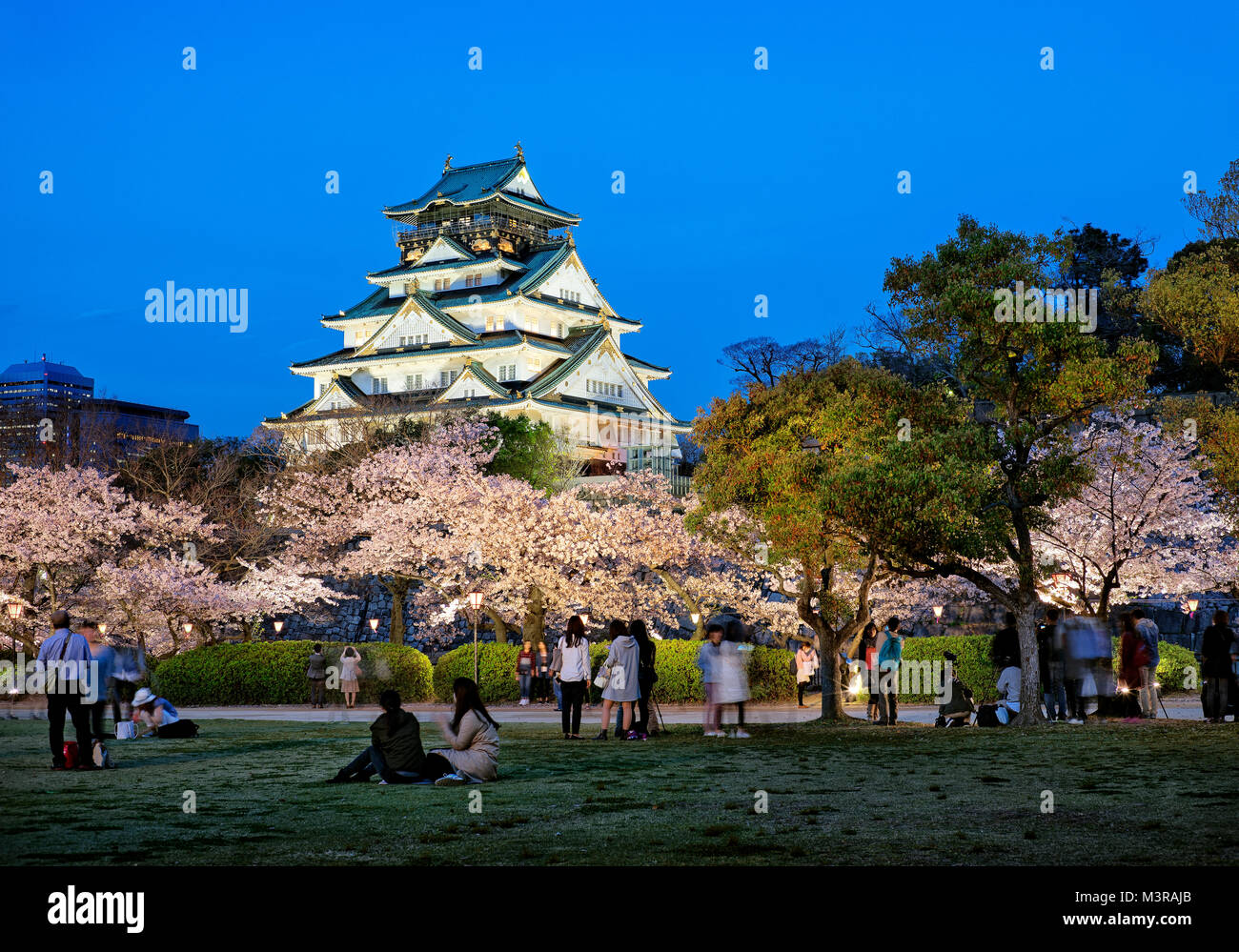 Giappone, isola di Honshu, Kansai di Osaka, il castello di sera durante la primavera Foto Stock