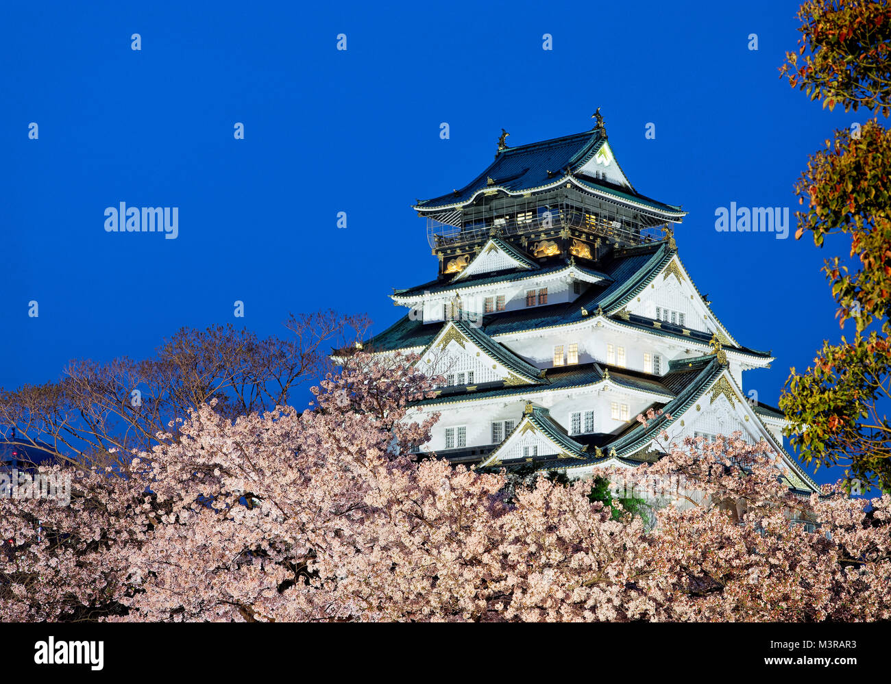 Giappone, isola di Honshu, Kansai di Osaka, il castello di sera durante la primavera Foto Stock