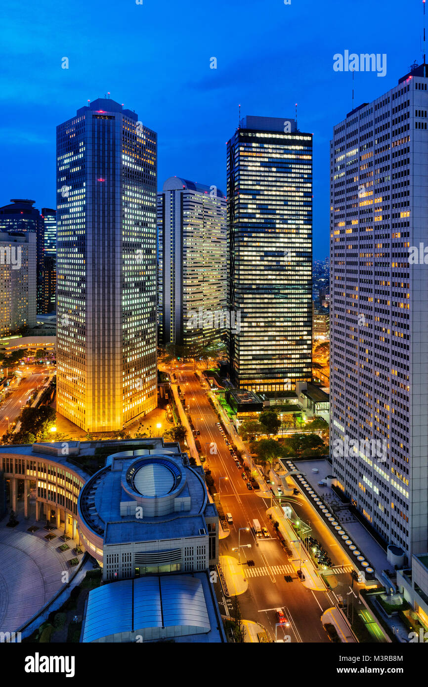 Giappone, isola di Honshu, Kanto, Tokyo, quartiere di Shinjuku di notte. Foto Stock